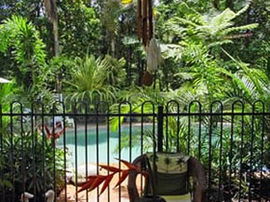 Daintree Rainforest Retreat Motel - Hotel VIC 0