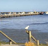 Seaview Motel and Holiday Units - Hotel VIC