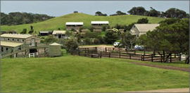 Ace Hi Riding Ranch - Hotel VIC 0