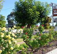 Narrogin Motel - Hotel VIC