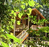 Rivers Edge Rainforest Retreat - Hotel VIC