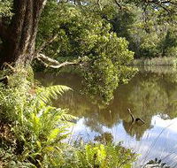 Weldborough Camping Ground - Hotel VIC