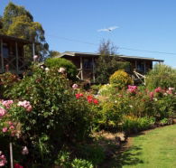 Mole Creek Holiday Village - Hotel VIC