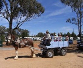 Ariah Park Camping Ground - Hotel VIC 1