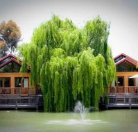 Perricoota Vines Retreat - Hotel VIC