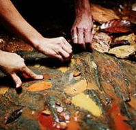 Daintree Eco Lodge And Spa - Hotel VIC