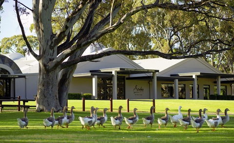 Serafino McLaren Vale - Hotel VIC 0