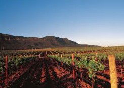 Peppers Guest House Hunter Valley - Hotel VIC 2