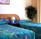 International Beach Resort
