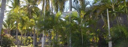 Pine Tree Motel - Hotel VIC 2