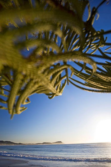 Terrigal Sails Serviced Apartments - Hotel VIC 5