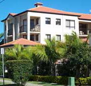 Chevron Palms