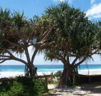 Pacific Surf Absolute Beachfront Apartments - Hotel VIC