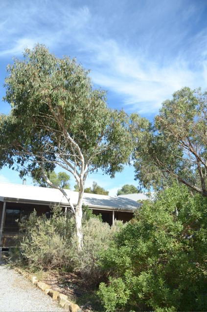 Dune Hideaway - Hotel VIC 2