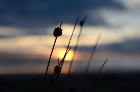 Dune Hideaway - Hotel VIC 8