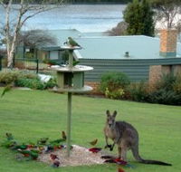 Gipsy Point Lakeside - Hotel VIC