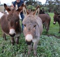 Donkey Tales Farm Cottages - Hotel VIC