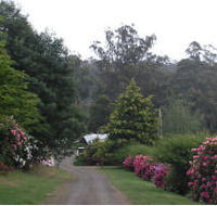 Mountain Rivers Lodge - Hotel VIC