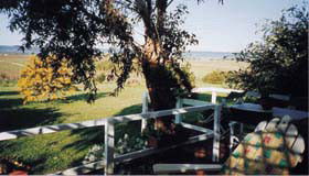  Hotel VIC