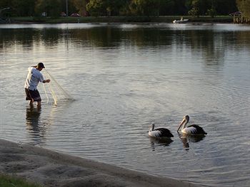 Maroochy River Resort & Bungalows - Hotel VIC 6