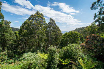 A Camelot Tower & Penthouse - Hotel VIC 46