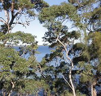 The Edgewater Bed amp Breakfast - Hotel VIC
