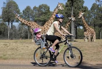 Zoofari Lodge, Taronga Western Plains Zoo - Hotel VIC 7