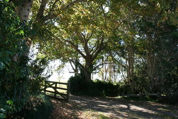 Maleny Mountain Retreat - Hotel VIC 2