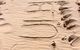 Culburra Beach House - thumb 12