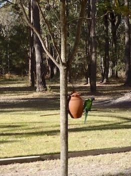 Woollamia Village Retreat - Hotel VIC 2
