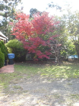 Woollamia Village Retreat - Hotel VIC 29