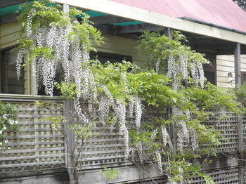 Woollamia Village Retreat - Hotel VIC 37
