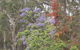 Woollamia Village Retreat - thumb 40