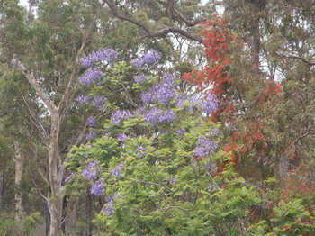 Woollamia Village Retreat - Hotel VIC 40