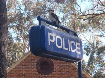 Woollamia Village Retreat - Hotel VIC 41