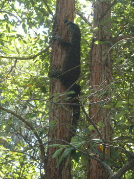 Woollamia Village Retreat - Hotel VIC 59
