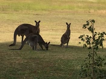 Block Eight - Hotel VIC 2