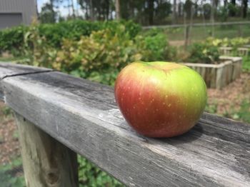 Block Eight - Hotel VIC 38