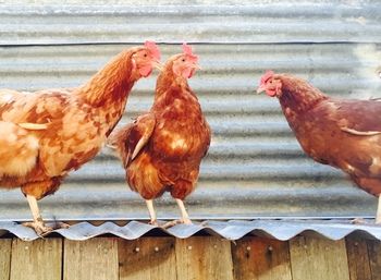 Block Eight - Hotel VIC 39