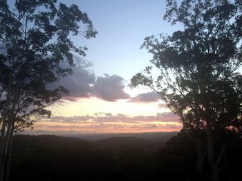 Phoenix Eumundi Bed & Breakfast - Hotel VIC 14