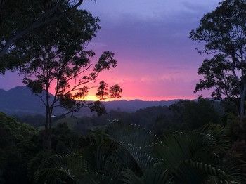 Phoenix Eumundi Bed & Breakfast - Hotel VIC 17
