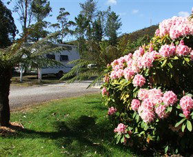 Zeehan Bush Camp  And Caravan Park - Hotel VIC 0