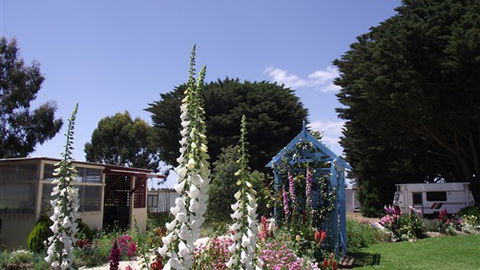 Colac Otway Caravan & Cabin Park - Hotel VIC 1