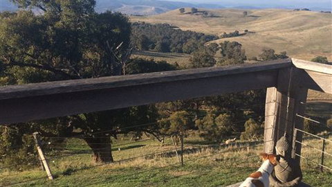 Merrindie - Hotel VIC 5