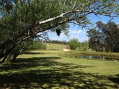 The Knoll Moruya - Hotel VIC 4