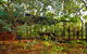 Arnhemland Barramundi Nature Lodge - thumb 0