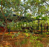 Arnhemland Barramundi Nature Lodge - Hotel VIC