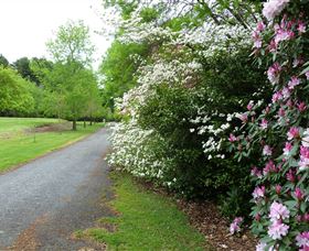 Laurel Hill Forest Lodge - Hotel VIC 2