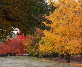 Laurel Hill Forest Lodge - Hotel VIC 3