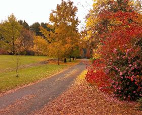 Laurel Hill Forest Lodge - Hotel VIC 4